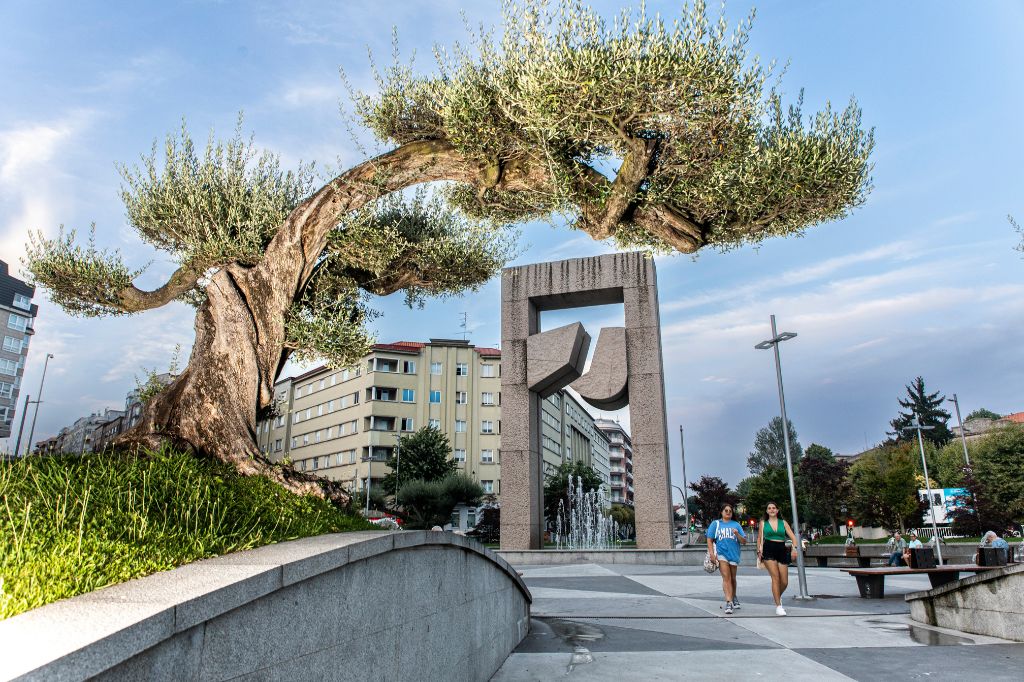 Plaza América olivo